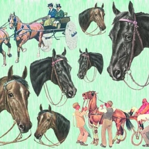 1grand papier de riz animaux-za674r