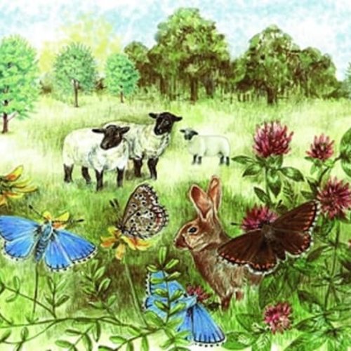 1grand papier de riz animaux-za754r