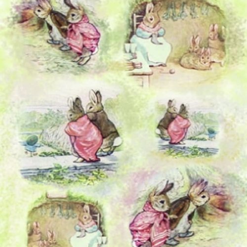 1grand papier de riz animaux-zan8g