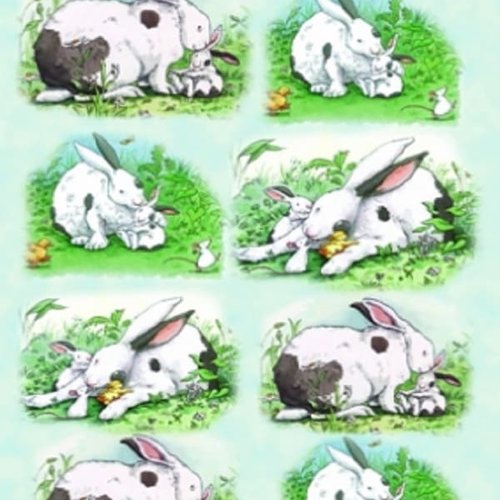 1grand papier de riz animaux-zan108g
