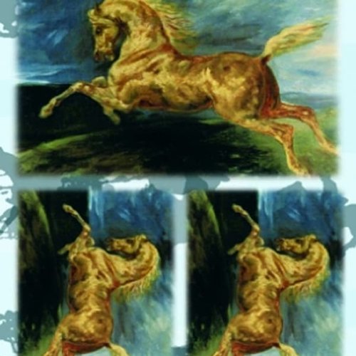 1grand papier de riz animaux-zan130g