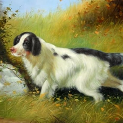 1grand papier de riz animaux-zan150g