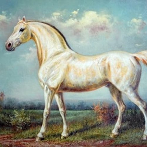 1grand papier de riz animaux-zan156g