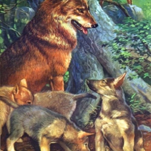 1grand papier de riz animaux-zan194g