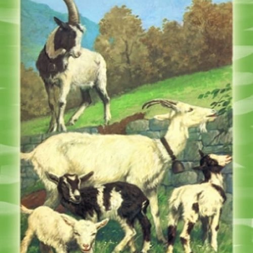 1grand papier de riz animaux-zan203g