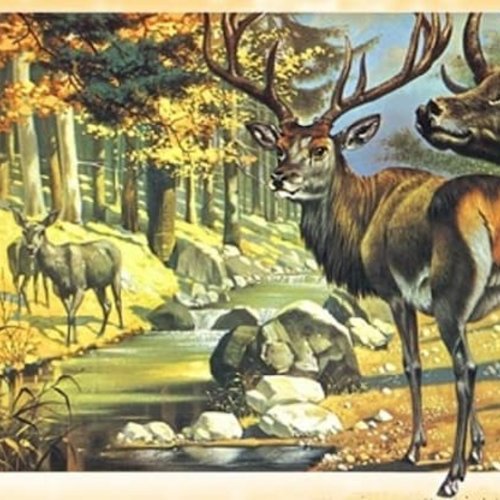 1grand papier de riz animaux-zan208g