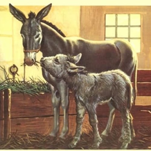 1grand papier de riz animaux-zan251g