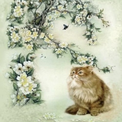 1grand papier de riz animaux-zan25g