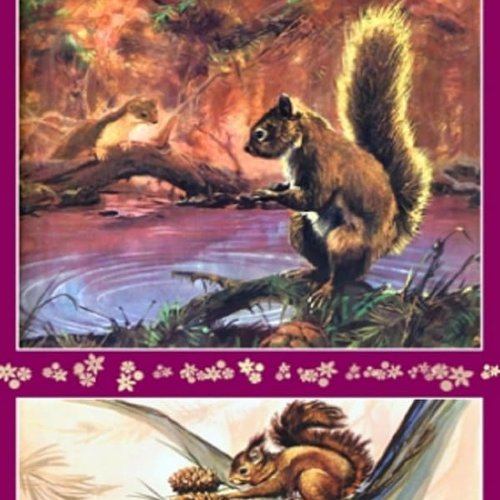 1grand papier de riz animaux-zan260g