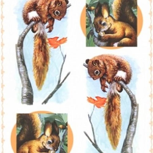 1grand papier de riz animaux-zan262g