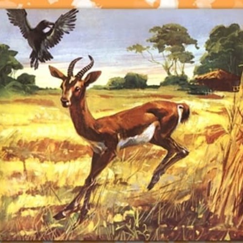 1grand papier de riz animaux-zan277g