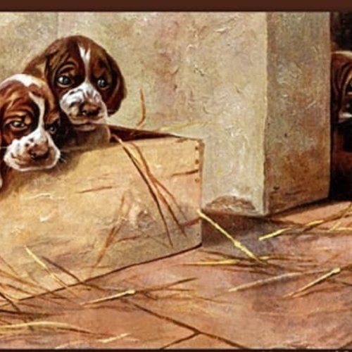 1grand papier de riz animaux-zan289g