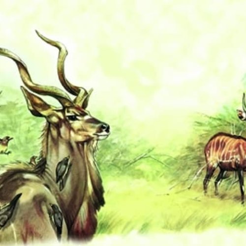 1grand papier de riz animaux-zan41g