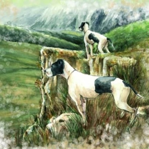 1grand papier de riz animaux-zan5g