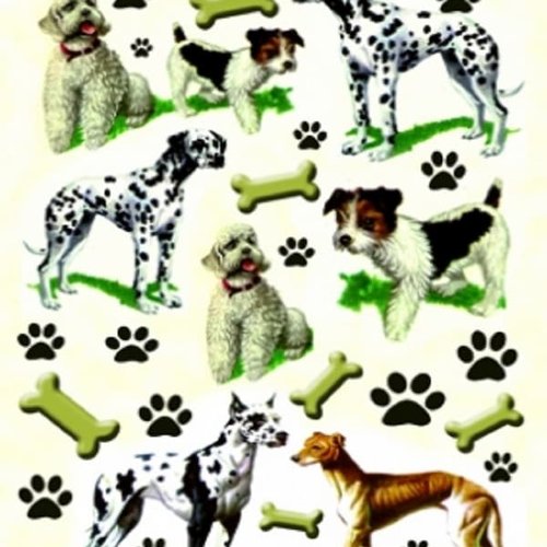 1grand papier de riz animaux-zan65g