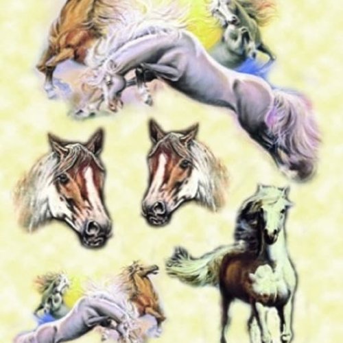 1grand papier de riz animaux-zan75g