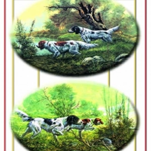 1grand papier de riz animaux-zan81g
