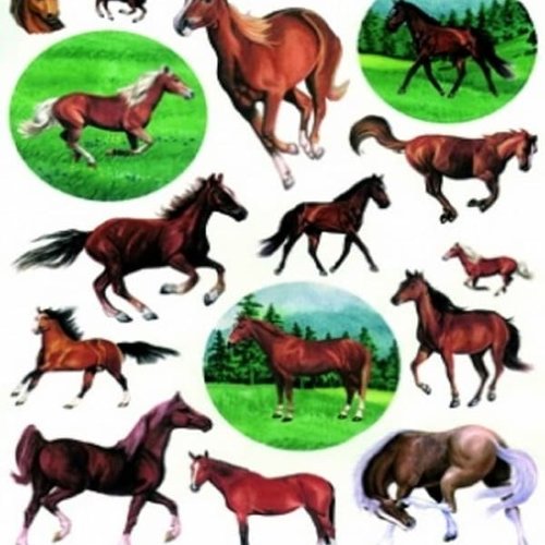 1grand papier de riz animaux-zan92g