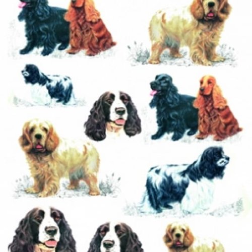 1grand papier de riz animaux-zan95g