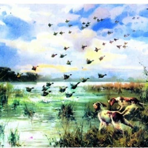 1grand papier de riz animaux-zp59g
