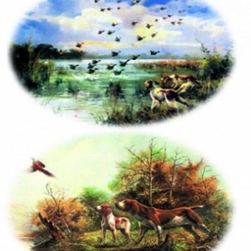 1grand papier de riz animaux-zp61g
