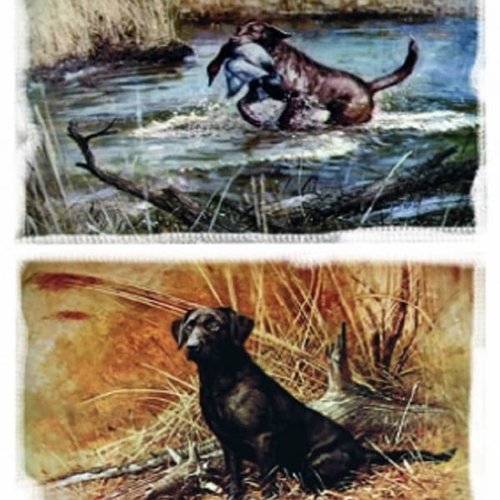 1grand papier de riz animaux-zv175g