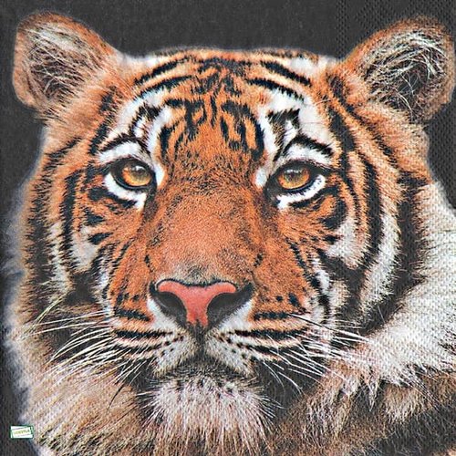 2 serviettes papier - animaux afrique -20
