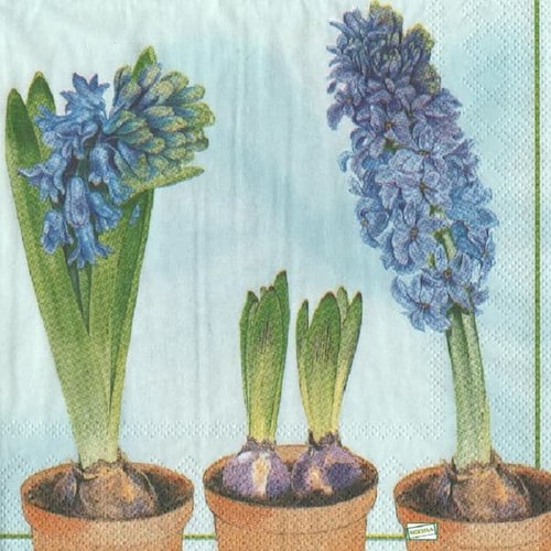 2 serviettes papier - fleurs à clochettes -4