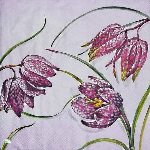 2 serviettes papier - fleurs à clochettes -27