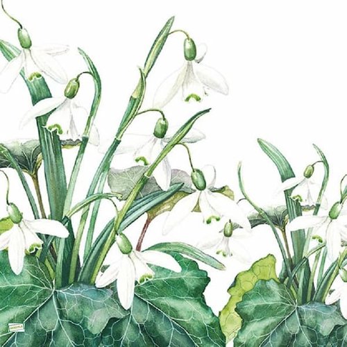 2 serviettes papier - fleurs à clochettes -29