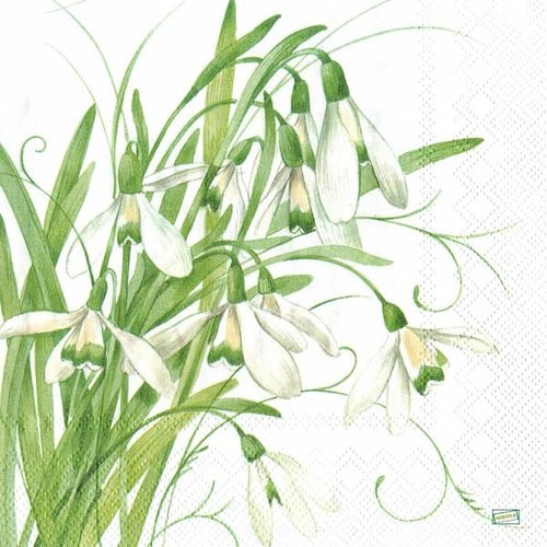 2 serviettes papier - fleurs à clochettes -31