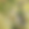 2 serviettes papier - boissons -50