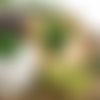 2 serviettes papier - les fromages -14