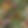 2 serviettes papier - les fromages -21