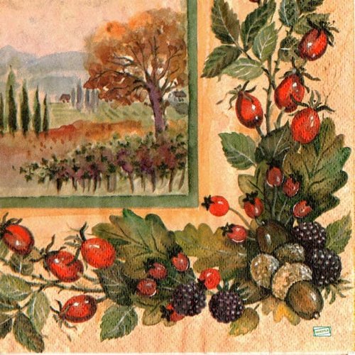 2 serviettes papier - nature - 15