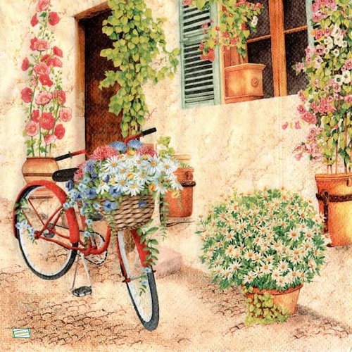 2 serviettes papier - nature - 19