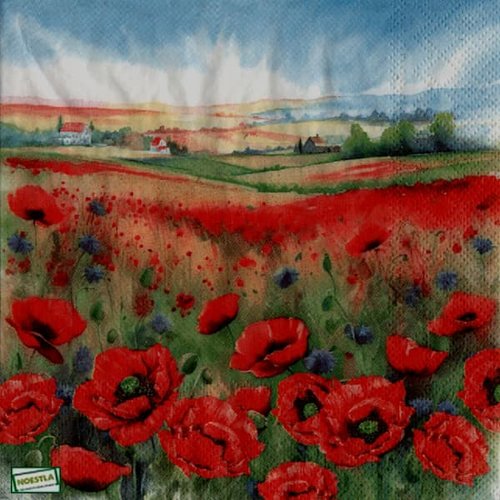 2 serviettes papier - nature - 22
