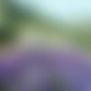 2 serviettes papier - nature - 38