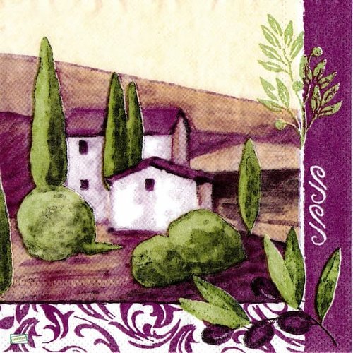 2 serviettes papier - nature - 39