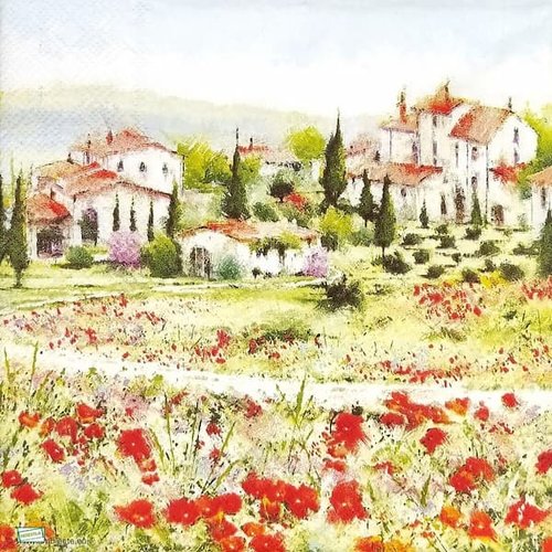 2 serviettes papier - nature - 48