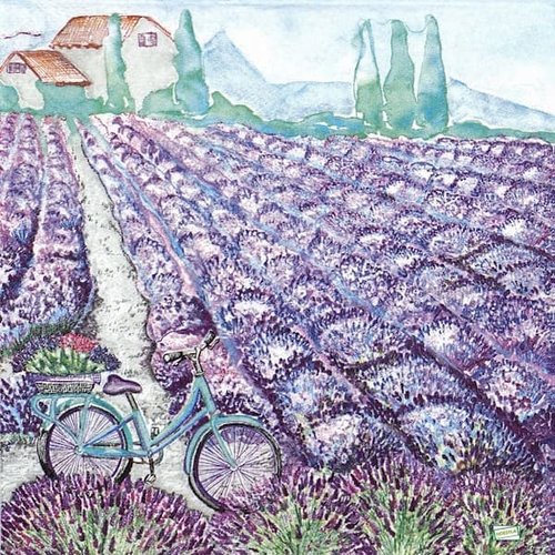 2 serviettes papier - nature - 51