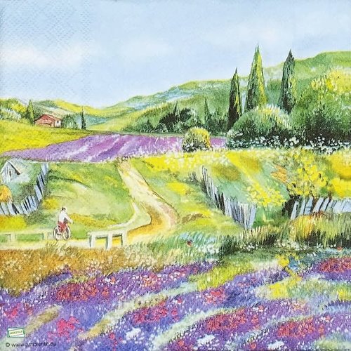 2 serviettes papier - nature - 53