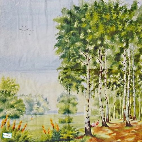 2 serviettes papier - nature - 60