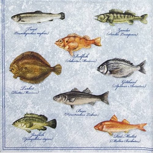 2 serviettes papier -la mer -102