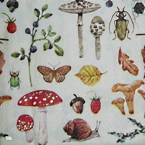 2 serviettes papier - autres animaux -42