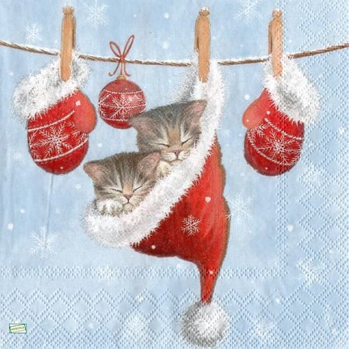 2 serviettes papier - chats -2