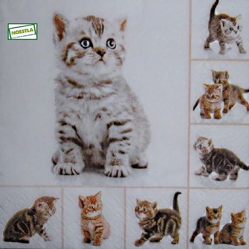 2 serviettes papier - chats -25