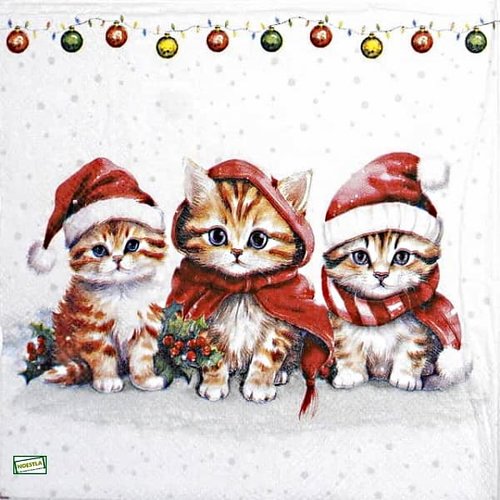 2 serviettes papier - chats -40