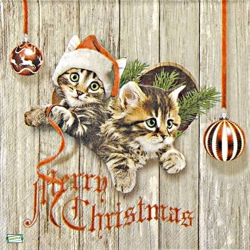 2 serviettes papier - chats -43