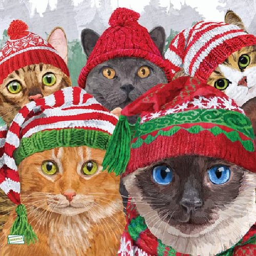 2 serviettes papier - chats -54
